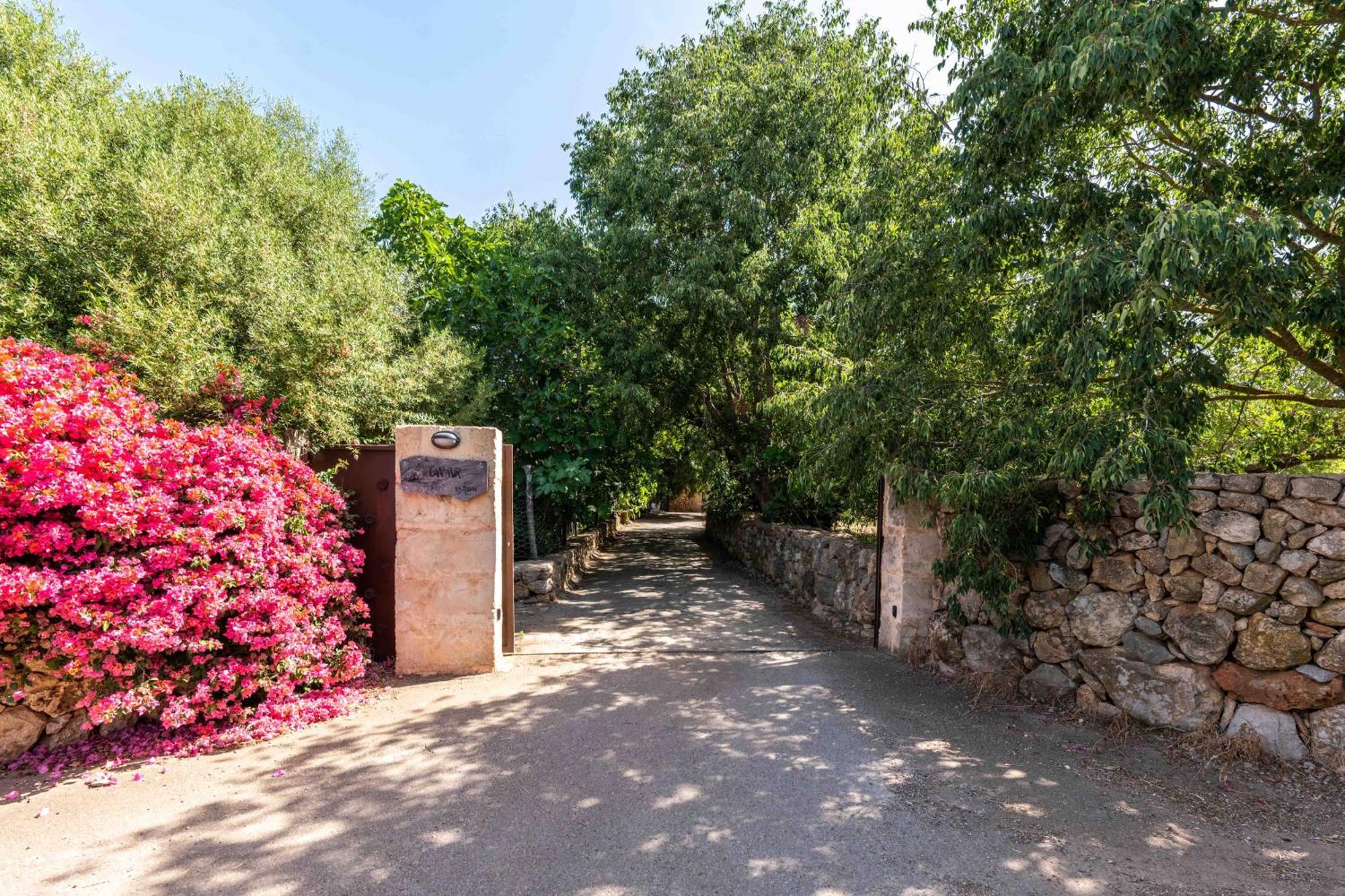 21842 Mallorca6 Sa Pobla